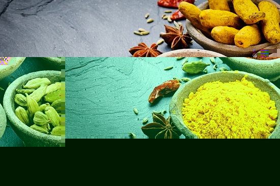 indian food